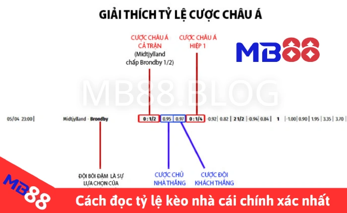 Kèo nhà cái - Keonhacai 5 - Keo nha cai, xem kèo bóng đá, tỷ lệ kèo hôm nay 2 Cách đọc kèo nhà cái dễ hiểu nhất