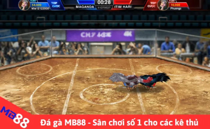 Trực tiếp đá gà – Kênh xem đá gà Thomo uy tín nhất 2025 2 Kèo đá gà online và bí quyết cá cược từ cao thủ